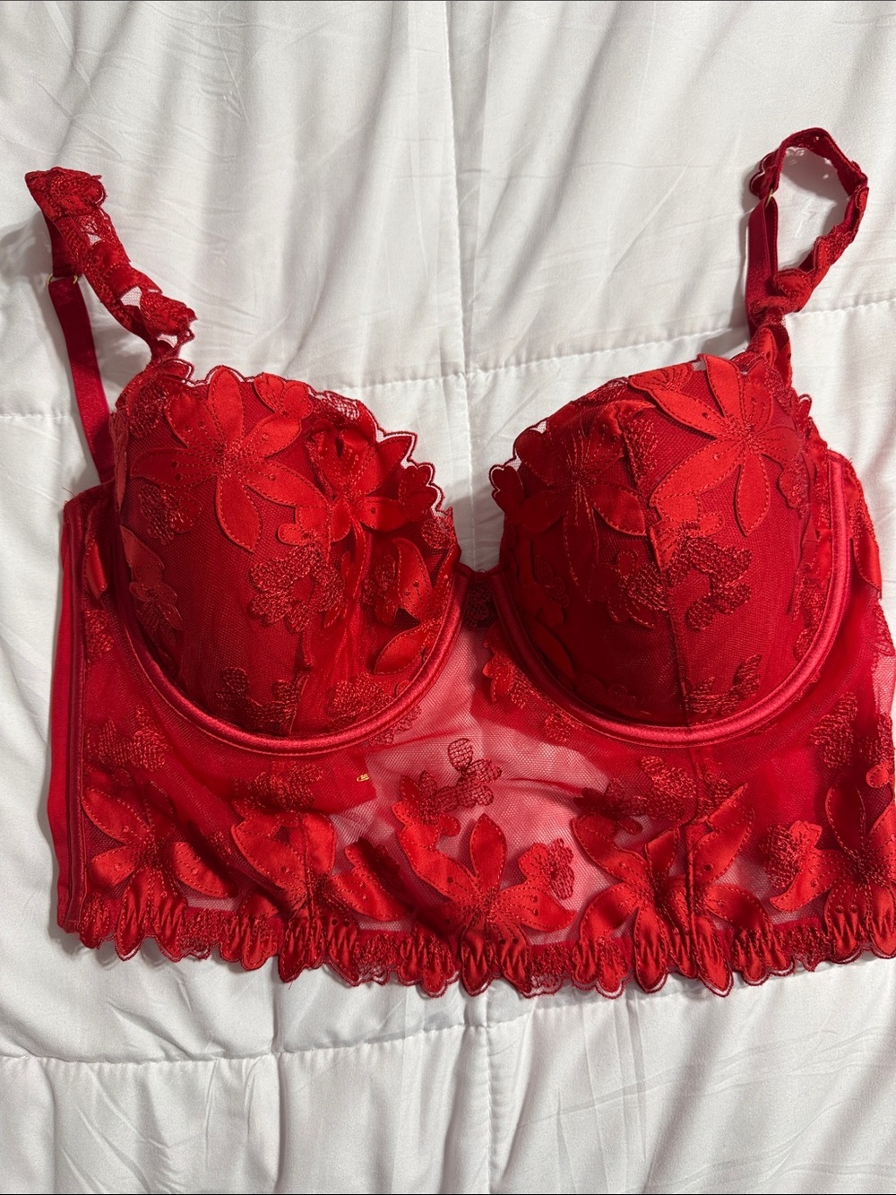 Victoria's Secret Red Floral Lace Longline Bustier Bra